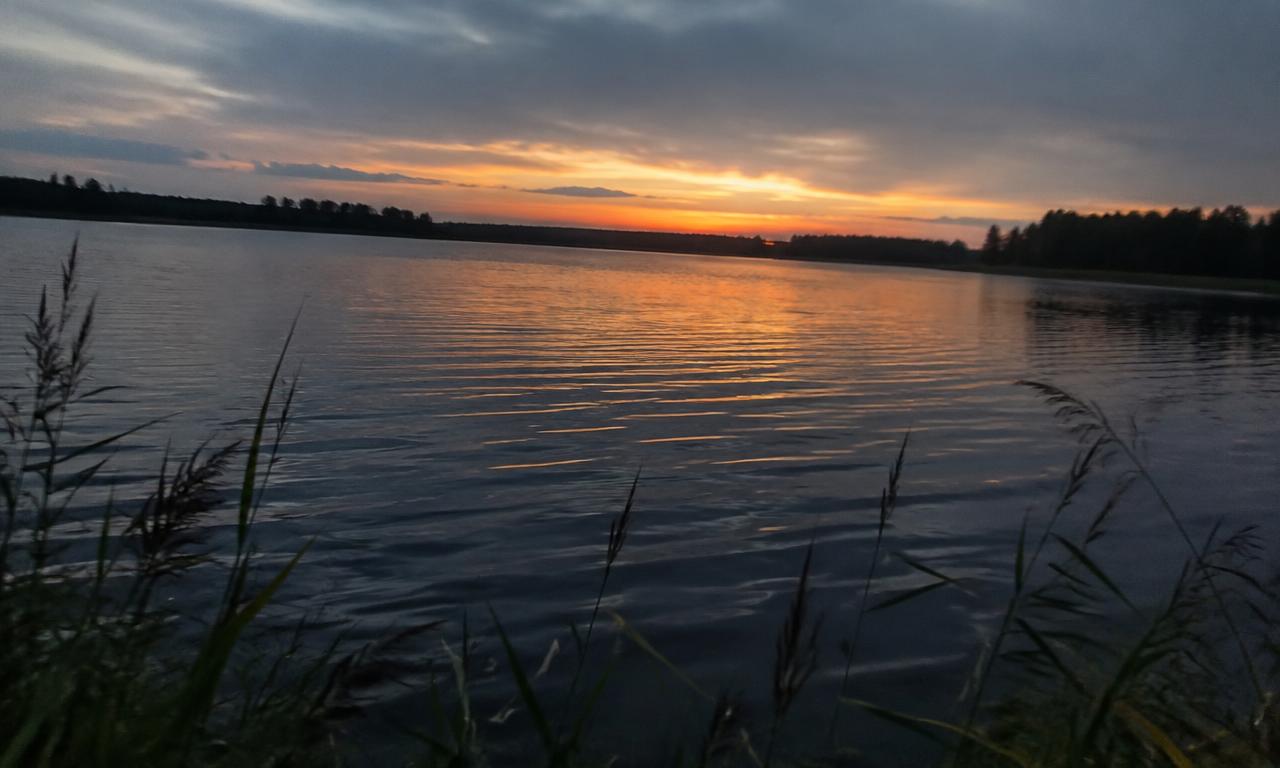 Une eau calme au couchant, quelques roseaux à l'avant-plan et le soleil qui se reflète.